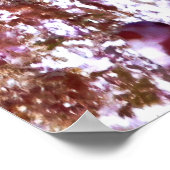 Perching Blenny Poster (Ecke)