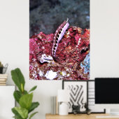 Perching Blenny Poster (Heimbüro)