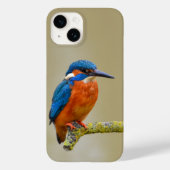 Perching Kingfisher Case-Mate iPhone Hülle (Rückseite)