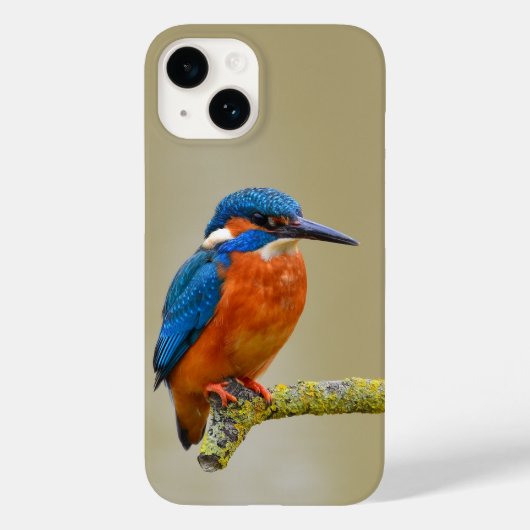 Perching Kingfisher Case-Mate iPhone Hülle (Rückseite)