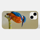 Perching Kingfisher Case-Mate iPhone Hülle (Rückseite (Horizontal))