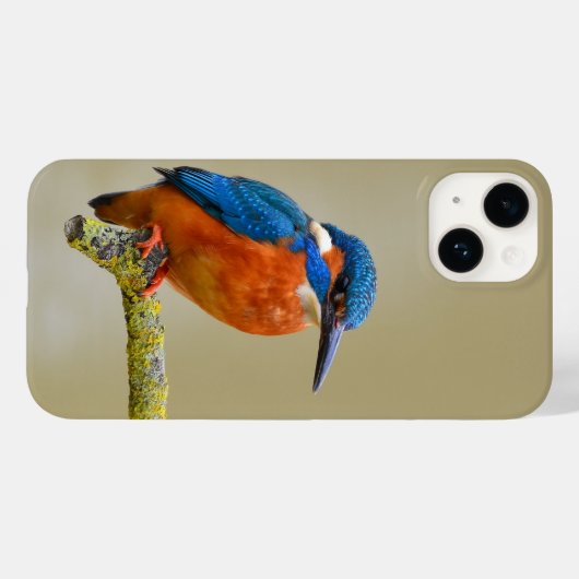 Perching Kingfisher Case-Mate iPhone Hülle (Rückseite (Horizontal))