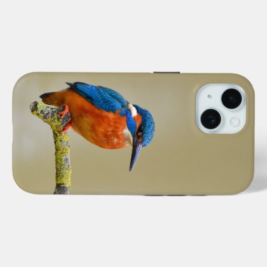 Perching Kingfisher Case-Mate iPhone Hülle (Rückseite (Horizontal))