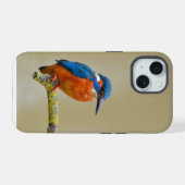 Perching Kingfisher iPhone 15 Hülle (Rückseite (Horizontal))