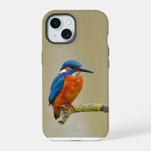Perching Kingfisher iPhone 15 Hülle (Rückseite)