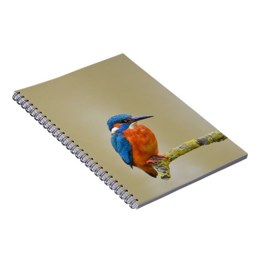 Perching Kingfisher Notizblock (Rechte Seite)