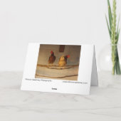 "Perching" - zwei verführerische Hühner in Coop/He Karte (Rückseite)