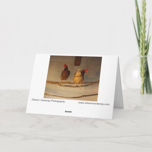 "Perching" - zwei verführerische Hühner in Coop/He Karte (Rückseite)