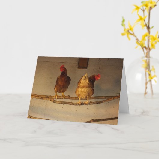 "Perching" - zwei verführerische Hühner in Coop/He Karte (Gelbe Blume)