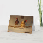 "Perching" - zwei verführerische Hühner in Coop/He Karte (Vorderseite)