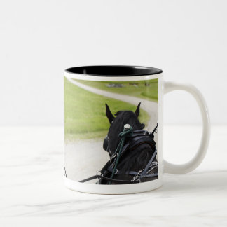 Perchon Pferde, die Wagen gegen historisches Zweifarbige Tasse
