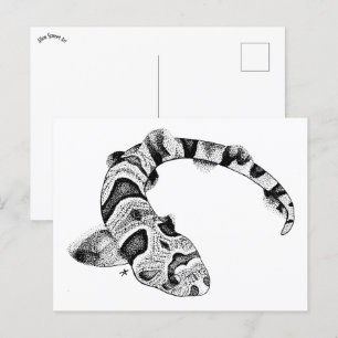 Percival der Tiger-Katze-Hai Postkarte