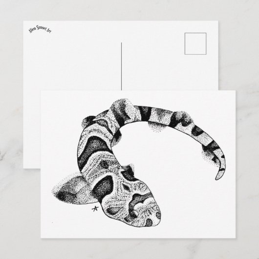 Percival der Tiger-Katze-Hai Postkarte (Vorne/Hinten)