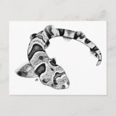 Percival der Tiger-Katze-Hai Postkarte (Vorderseite)