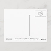 Percival EP9 Flugzeug Postkarte (Rückseite)