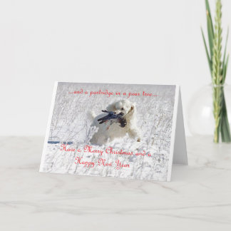 Percy Weihnachtskarte Feiertagskarte