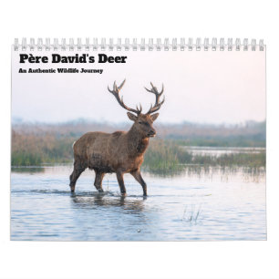 Père-David-Hirsch 2027 Wandkalender