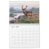 Père-David-Hirsch 2027 Wandkalender (Mär 2027)