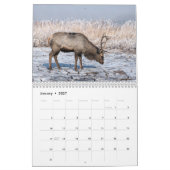 Père-David-Hirsch 2027 Wandkalender (Jan 2027)