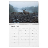 Père-David-Hirsch 2027 Wandkalender (Feb 2027)