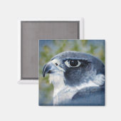 Peregrine-Airbrush Magnet (Vorderseite/Rückseite)