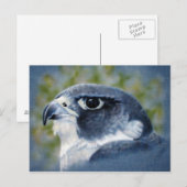 Peregrine-Airbrush Postkarte (Vorne/Hinten)