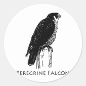 Peregrine Falcon (Abbildung) Runder Aufkleber (Vorderseite)