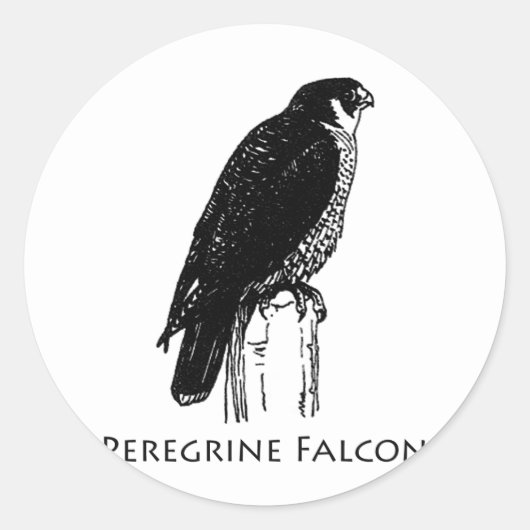 Peregrine Falcon (Abbildung) Runder Aufkleber (Vorderseite)