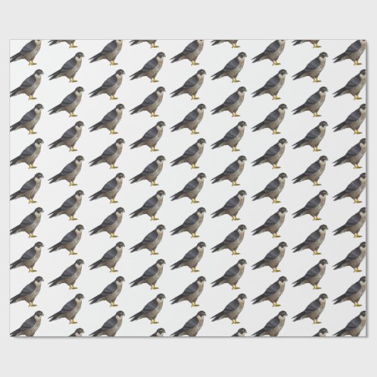 Peregrine falcon bird Cartoon Illustration Geschenkpapier (Flach)