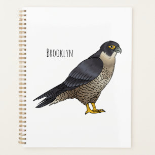 Peregrine falcon bird Cartoon Illustration Planer