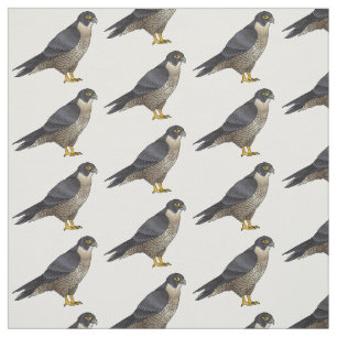 Peregrine falcon bird Cartoon Illustration Stoff