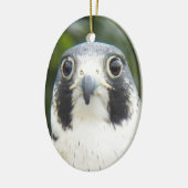 Peregrine Falcon Bird of Prey Foto Keramikornament (Links)