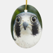 Peregrine Falcon Bird of Prey Foto Keramikornament (Vorne)