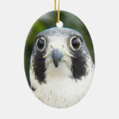 Peregrine Falcon Bird of Prey Foto Keramikornament (Hinten)