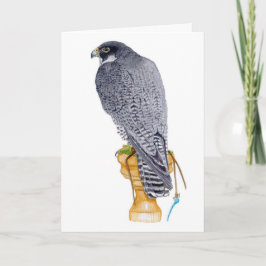 Peregrine Falcon Birthday Card Karte