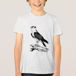 Peregrine falcon   Boys' T-Shirts