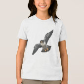 Peregrine falcon Boys' T-Shirts (Vorderseite)