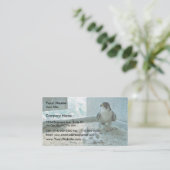 Peregrine Falcon Chicks, Weibchen Visitenkarte (Stehend Vorderseite)