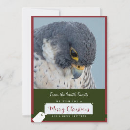 Peregrine Falcon Christmas Card by Debbie Quick Feiertagskarte