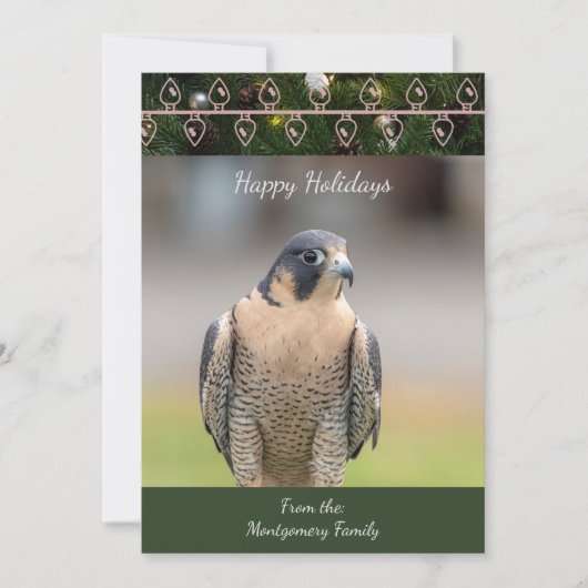Peregrine Falcon Christmas Card Feiertagskarte (Vorderseite)