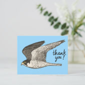 Peregrine Falcon Colored Pencil DANK Postkarte (Stehend Vorderseite)