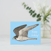 Peregrine Falcon Colored Pencil GLÜCKLICH BIRTHDAY Postkarte (Stehend Vorderseite)