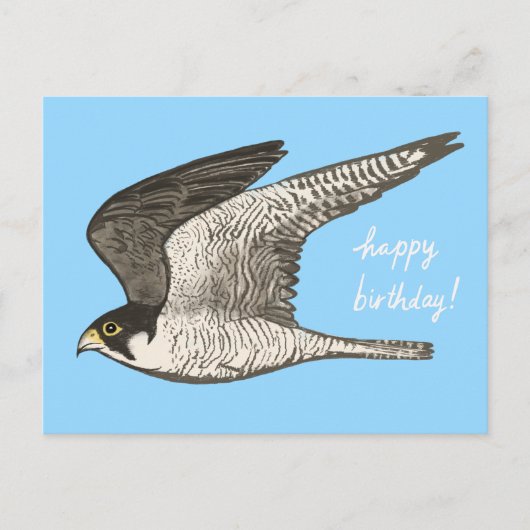Peregrine Falcon Colored Pencil GLÜCKLICH BIRTHDAY Postkarte (Vorderseite)