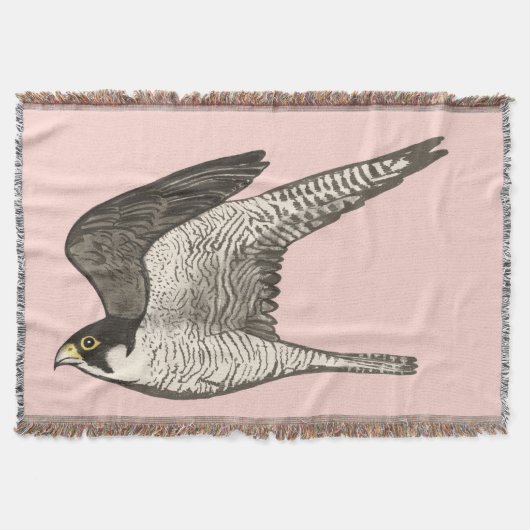 Peregrine Falcon Colored Pencil Kunst, Dichtung un Decke (Vorderseite)
