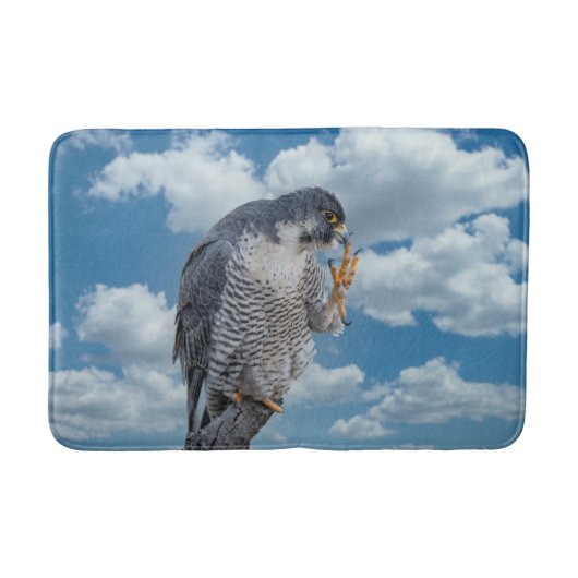 Peregrine Falcon entlang des Hudson River Badematte (Vorderseite)