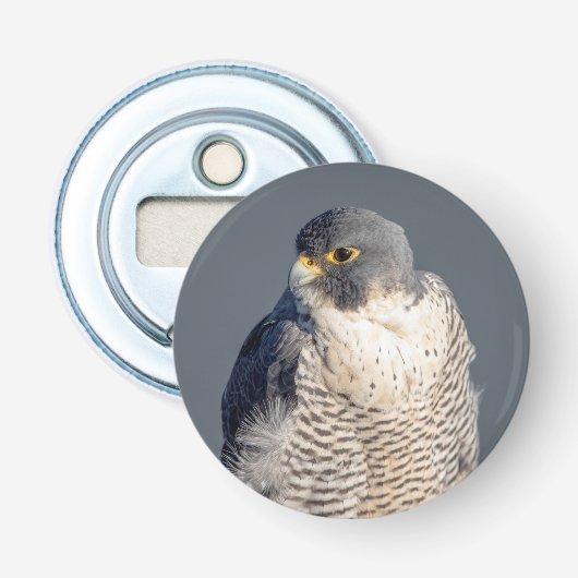 Peregrine Falcon entlang des Hudson River Flaschenöffner (Vorderseite)