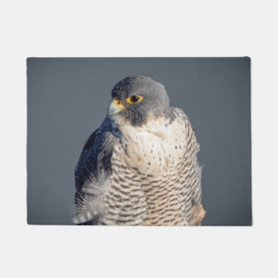 Peregrine Falcon entlang des Hudson River Fußmatte