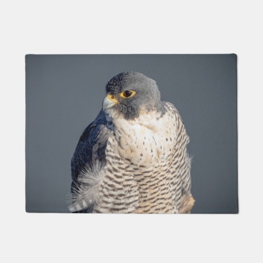 Peregrine Falcon entlang des Hudson River Fußmatte (Vorderseite)