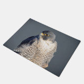 Peregrine Falcon entlang des Hudson River Fußmatte (Schrägansicht)