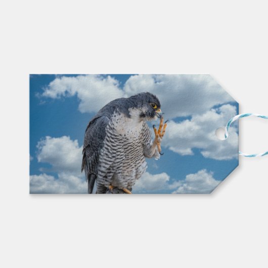 Peregrine Falcon entlang des Hudson River Geschenkanhänger (Vorderseite (Horizontal))
